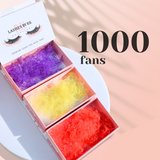 Pro-made coloured fans 6D | 0.07 | 1000 fans/tray